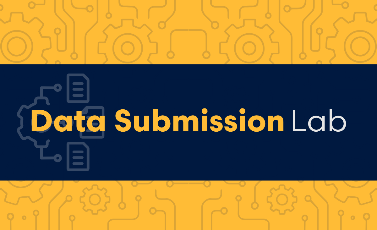 Virtual Data Sub Lab Logo